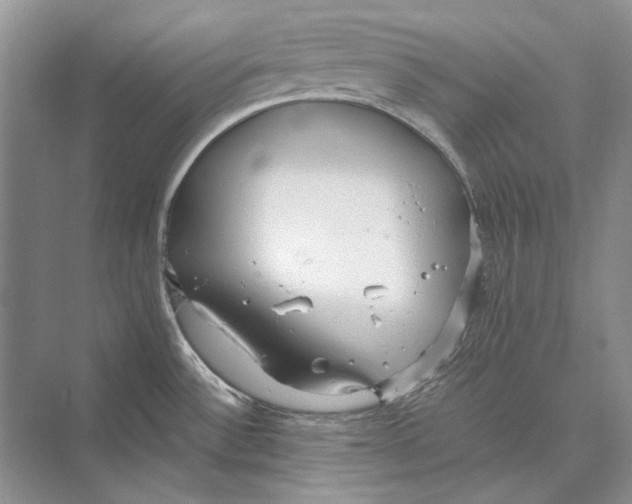 X0000072521532200608111707