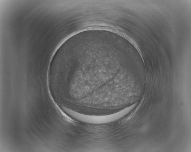 X0000072521533200608111707