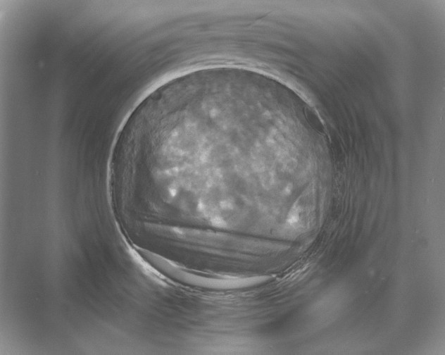 X0000072521535200608111707