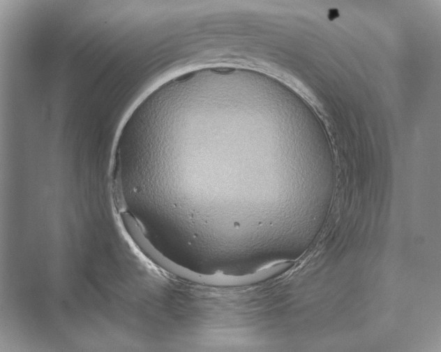 X0000072521536200608111707