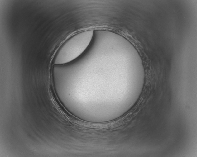 X0000072530002200607141022