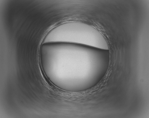 X0000072530003200607141022