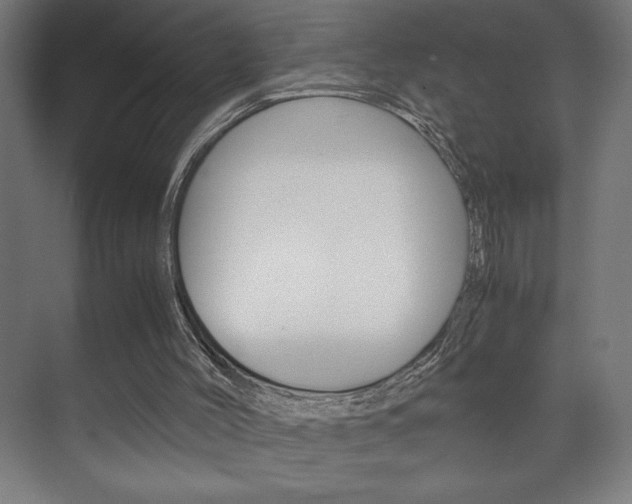 X0000072530004200607141022