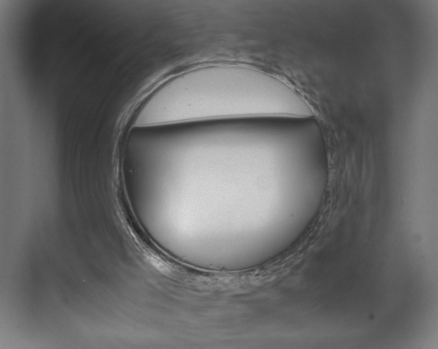 X0000072530005200607141022