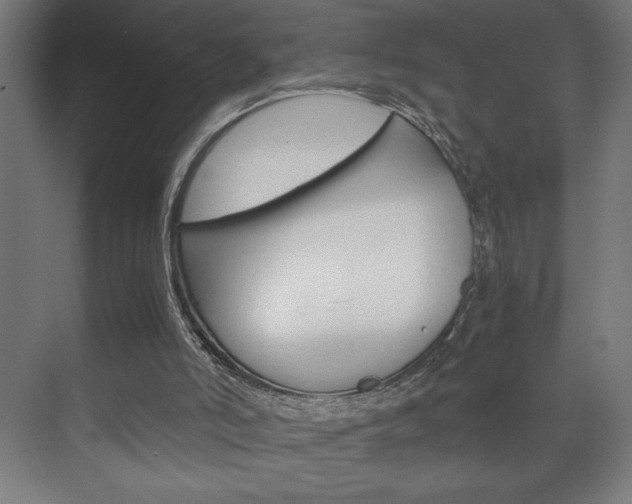 X0000072530006200607141022