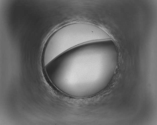 X0000072530007200607141022