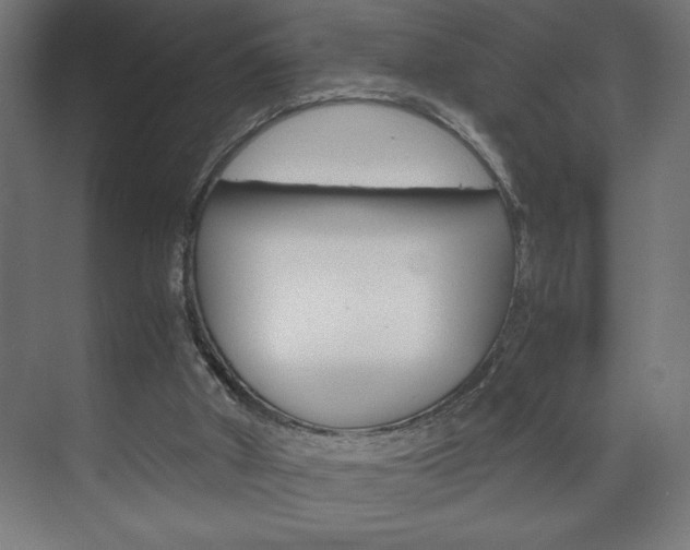 X0000072530010200607141022