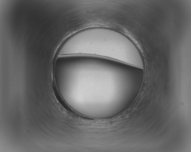 X0000072530011200607141022