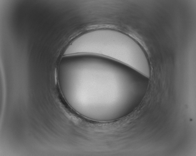 X0000072530013200607141022
