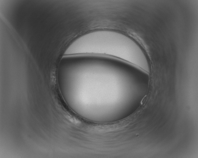 X0000072530017200607141022