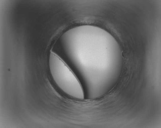 X0000072530020200607141022