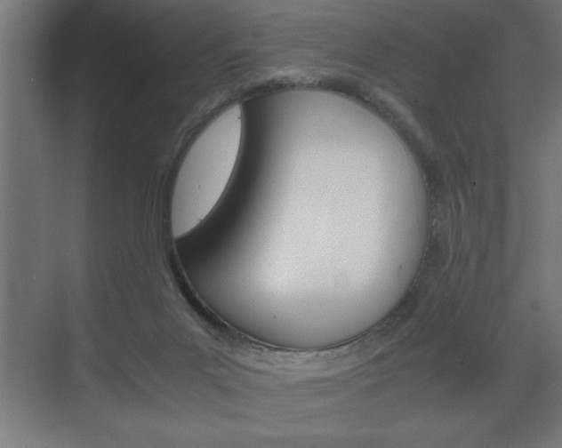 X0000072530023200607141022