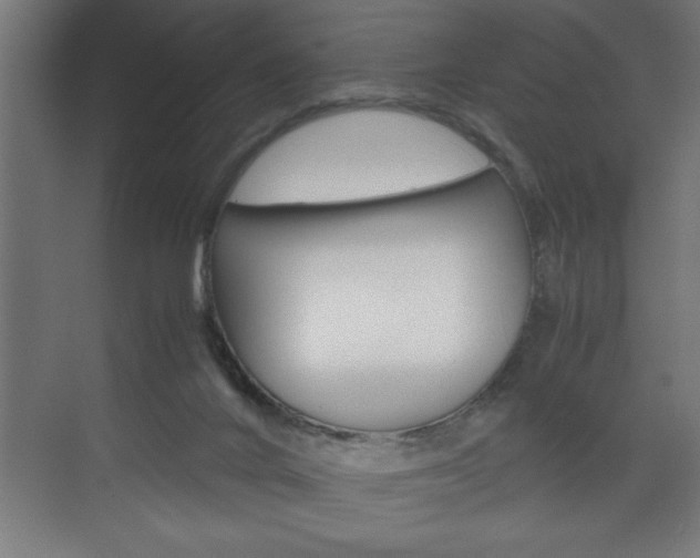 X0000072530024200607141022