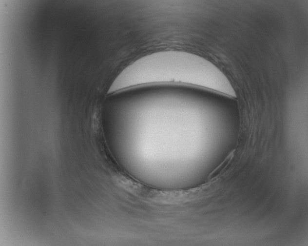 X0000072530037200607141022