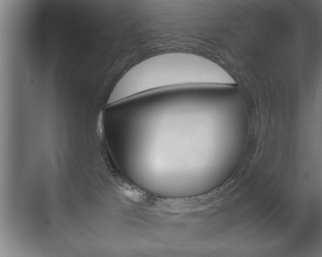 X0000072530041200607141022
