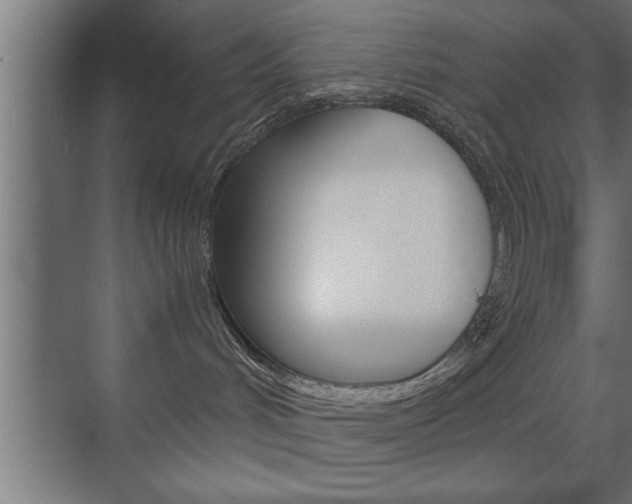 X0000072530048200607141021