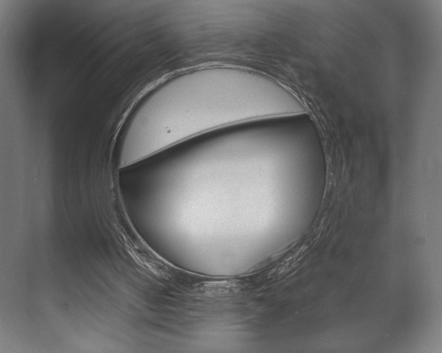 X0000072530050200607141021
