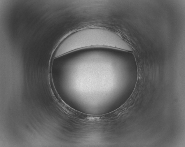 X0000072530052200607141021