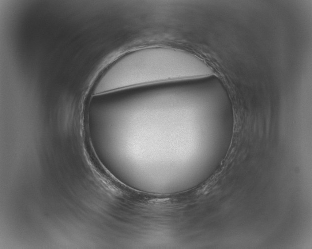 X0000072530054200607141021