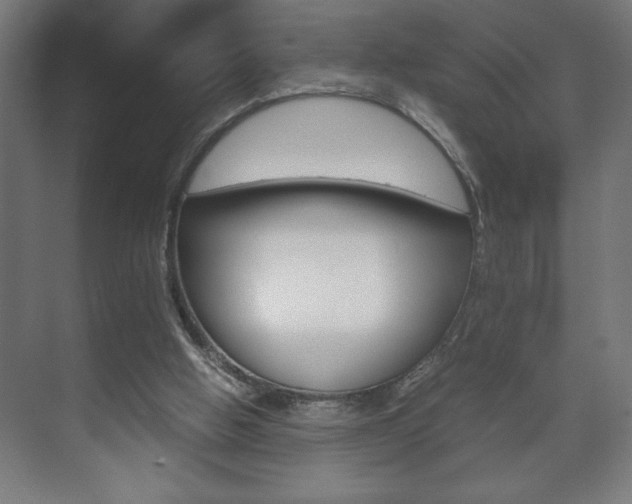 X0000072530058200607141021