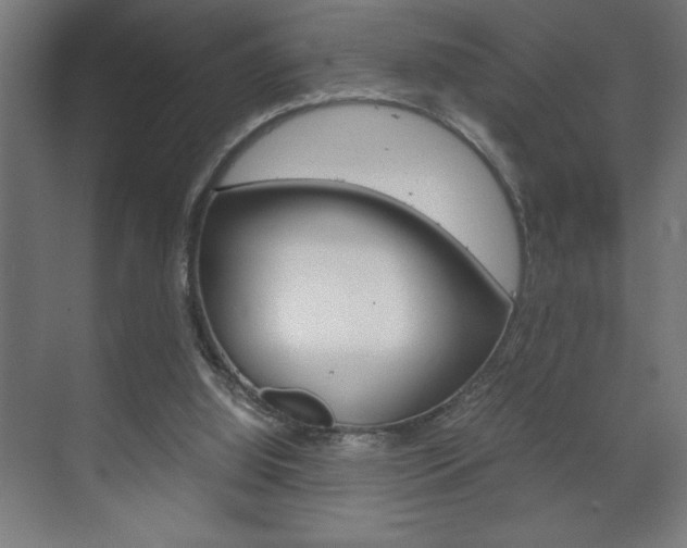 X0000072530060200607141021
