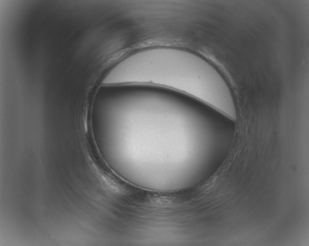 X0000072530062200607141021