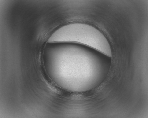 X0000072530066200607141021