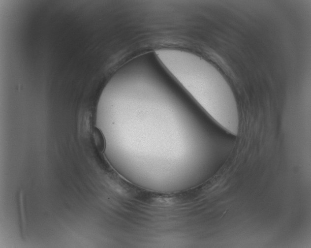 X0000072530071200607141021
