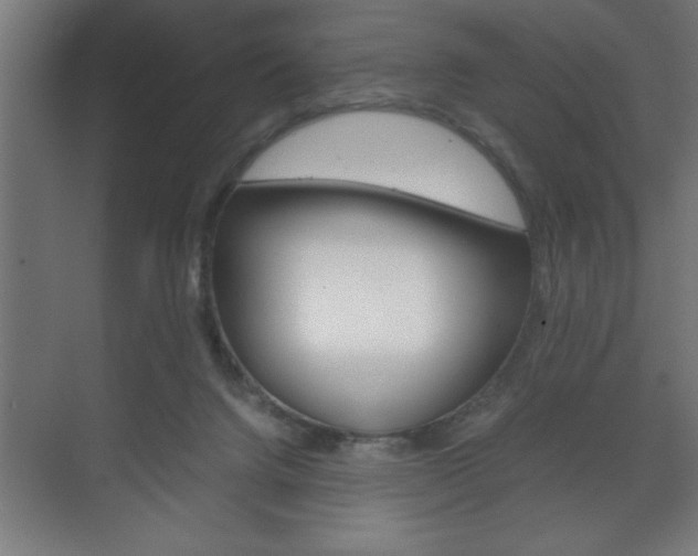 X0000072530072200607141021