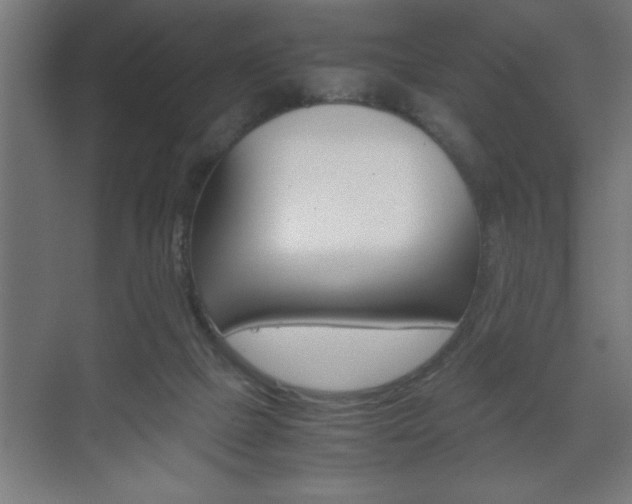 X0000072530073200607141021