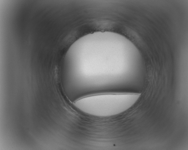 X0000072530077200607141021