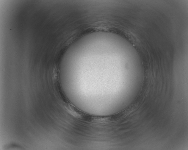 X0000072530081200607141021