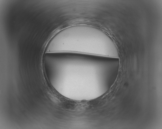 X0000072530099200607141021