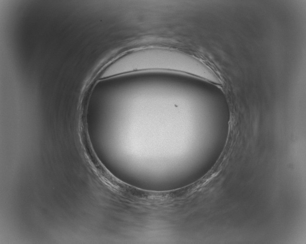 X0000072530101200607141021