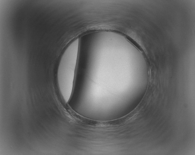 X0000072530109200607141020