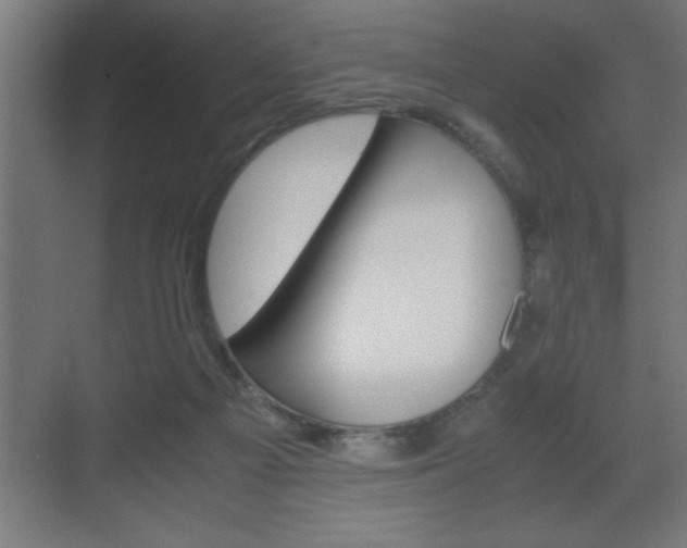 X0000072530121200607141020