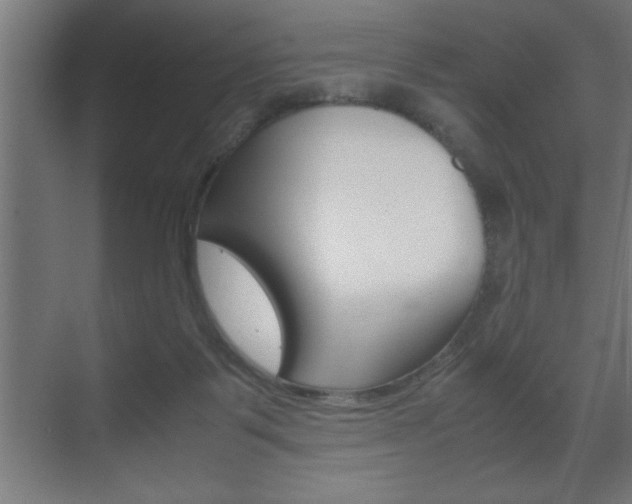 X0000072530123200607141020