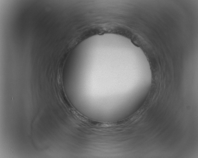 X0000072530129200607141020