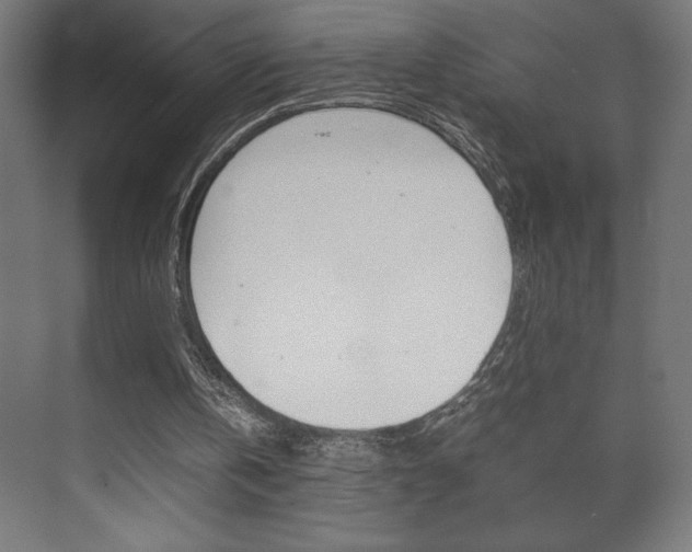 X0000072530146200607141019