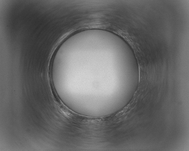 X0000072530147200607141019
