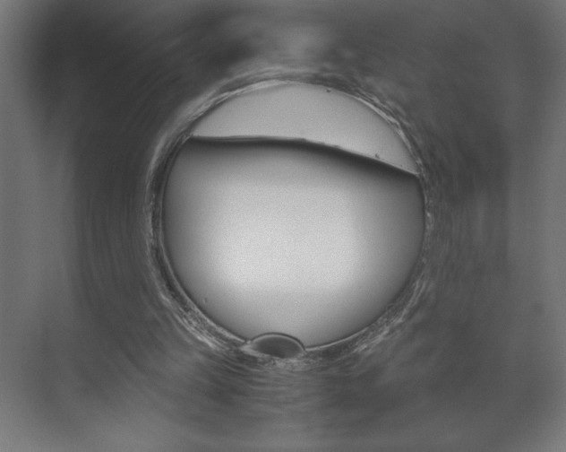 X0000072530149200607141019