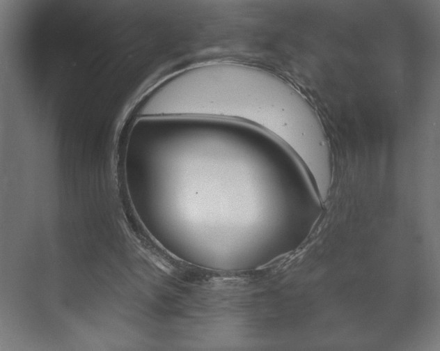 X0000072530150200607141019