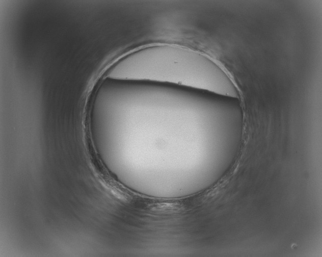 X0000072530151200607141019
