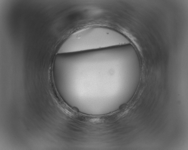 X0000072530153200607141019