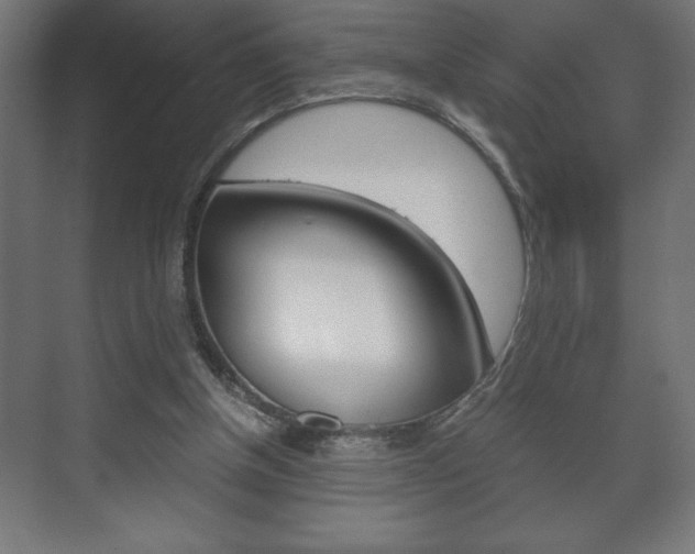 X0000072530154200607141019