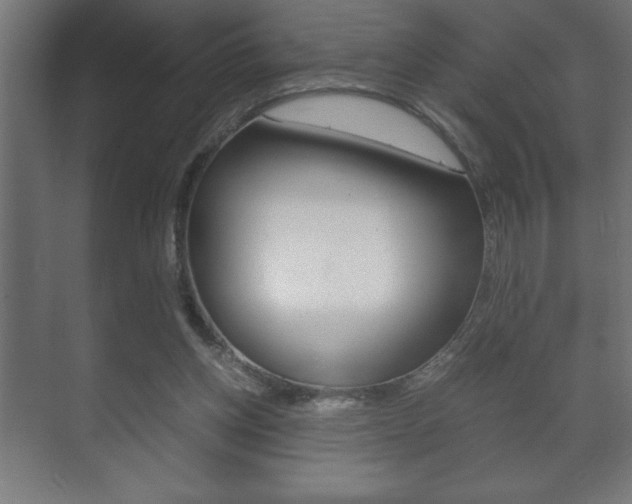 X0000072530158200607141019