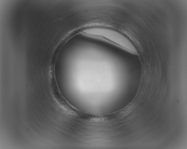 X0000072530160200607141019
