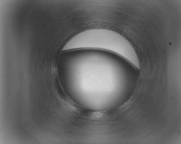 X0000072530176200607141020