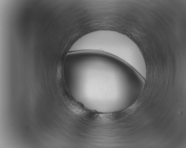 X0000072530188200607141020