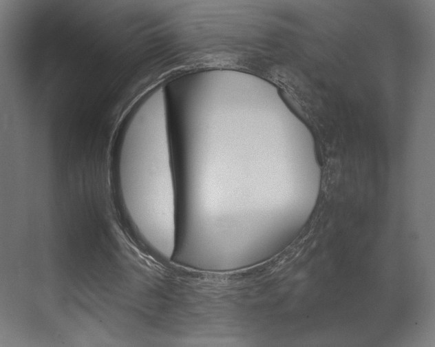 X0000072530194200607141019